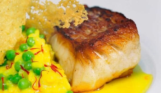 Risotto med stekt isgalt