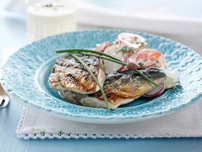 Grillet makrell med sommersalat