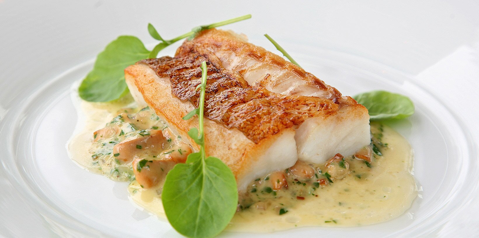 Stekt uer med frikassé av kantareller