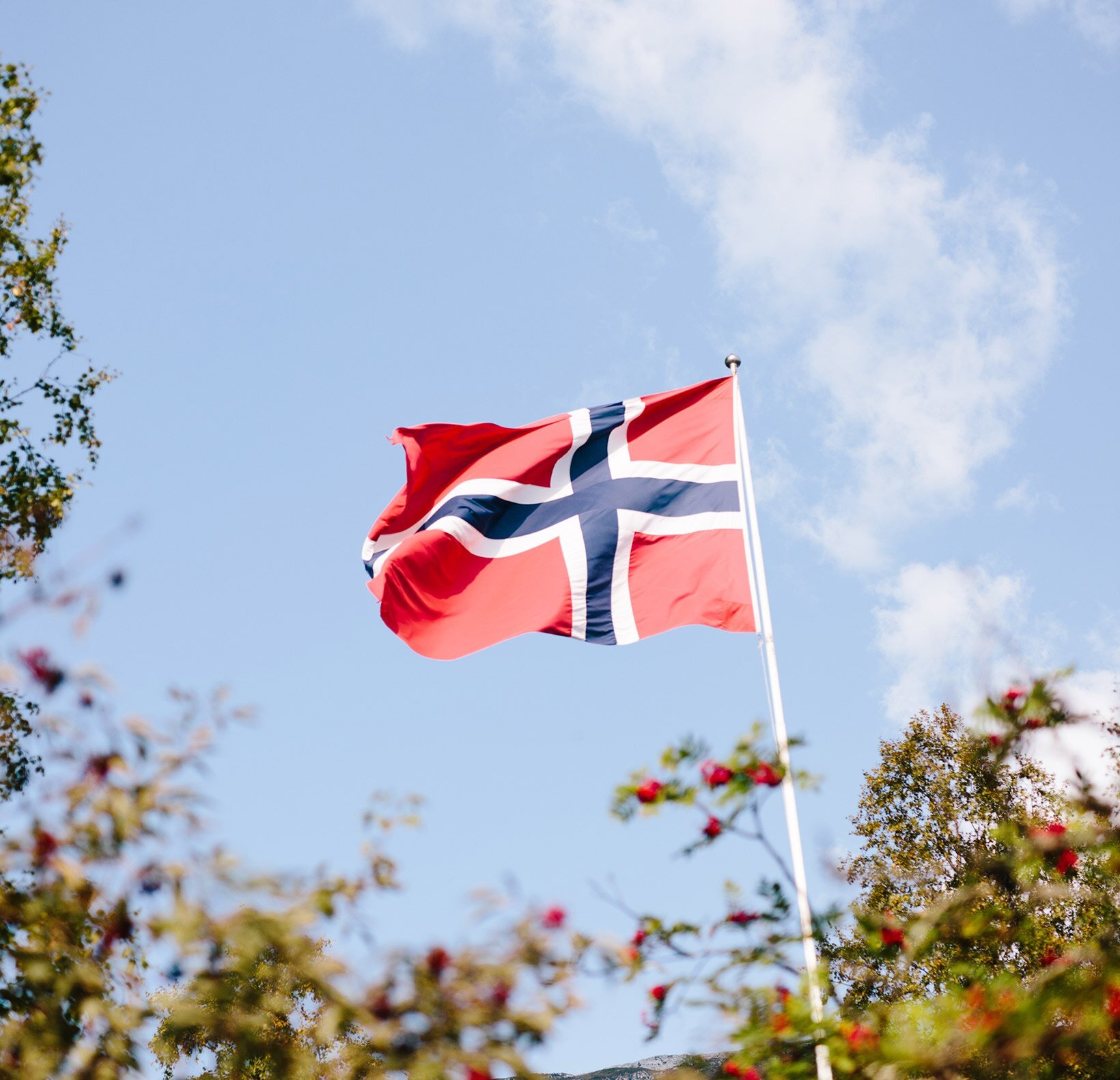17. mai norsk flagg