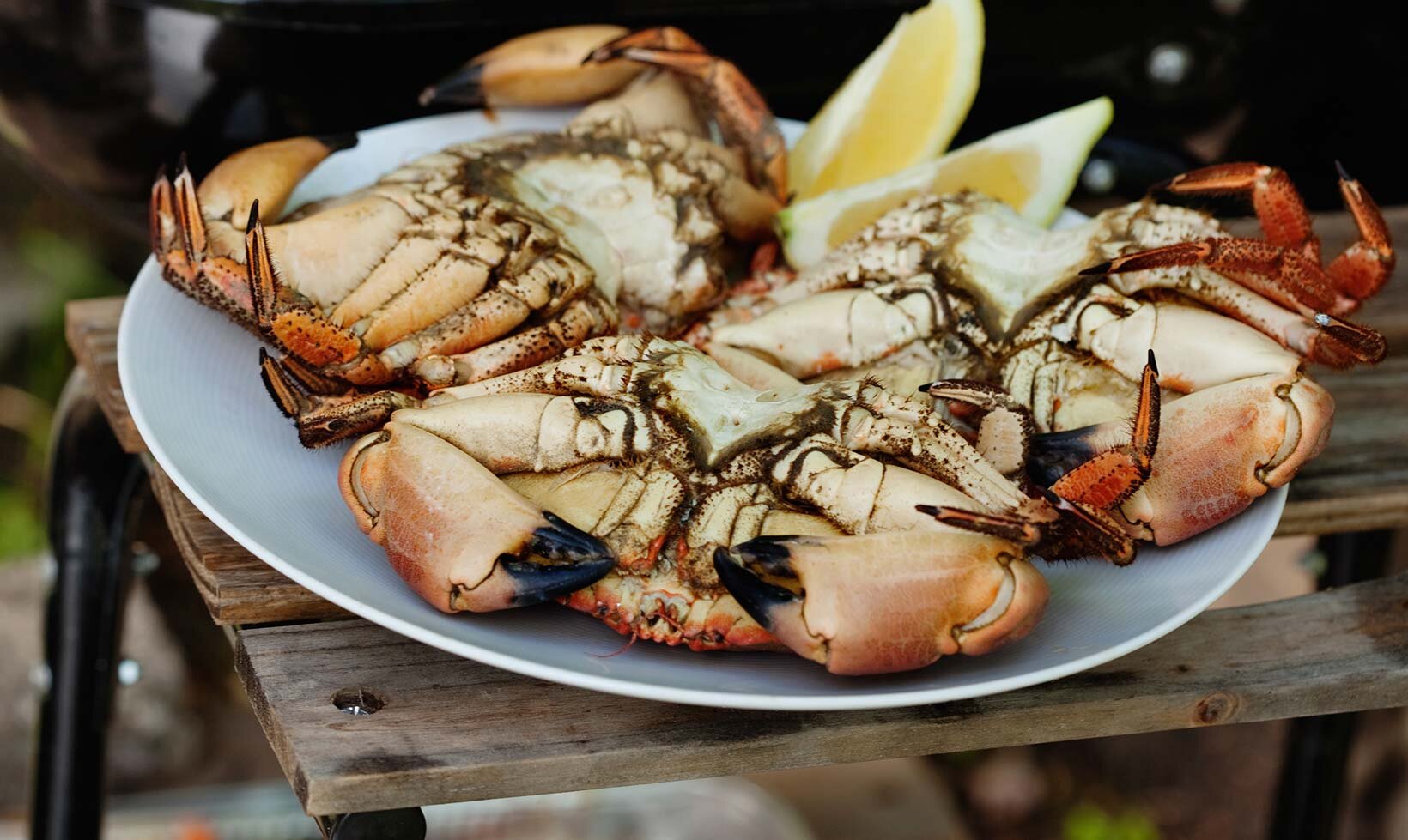 Kokt krabbe på tallerken