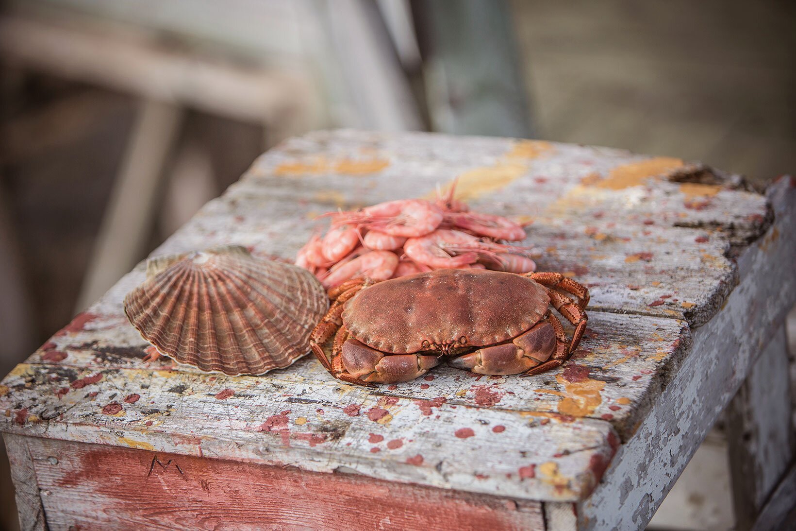 Skalldyr er best på høsten