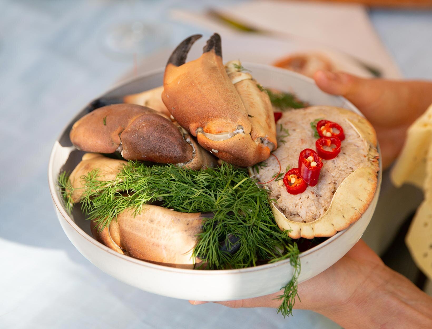 Brunkrabbe i skål med urter