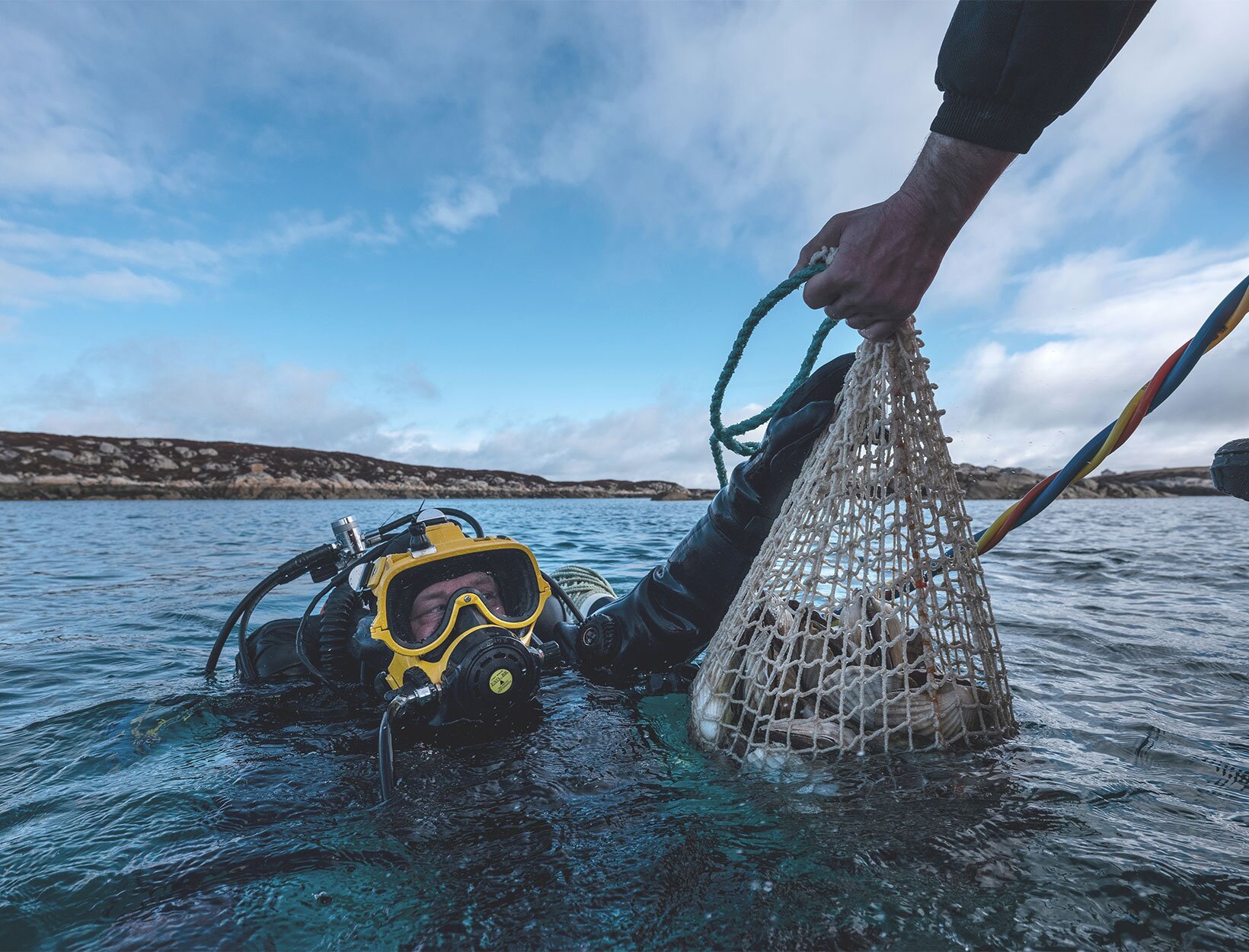 Dykker med kamskjell