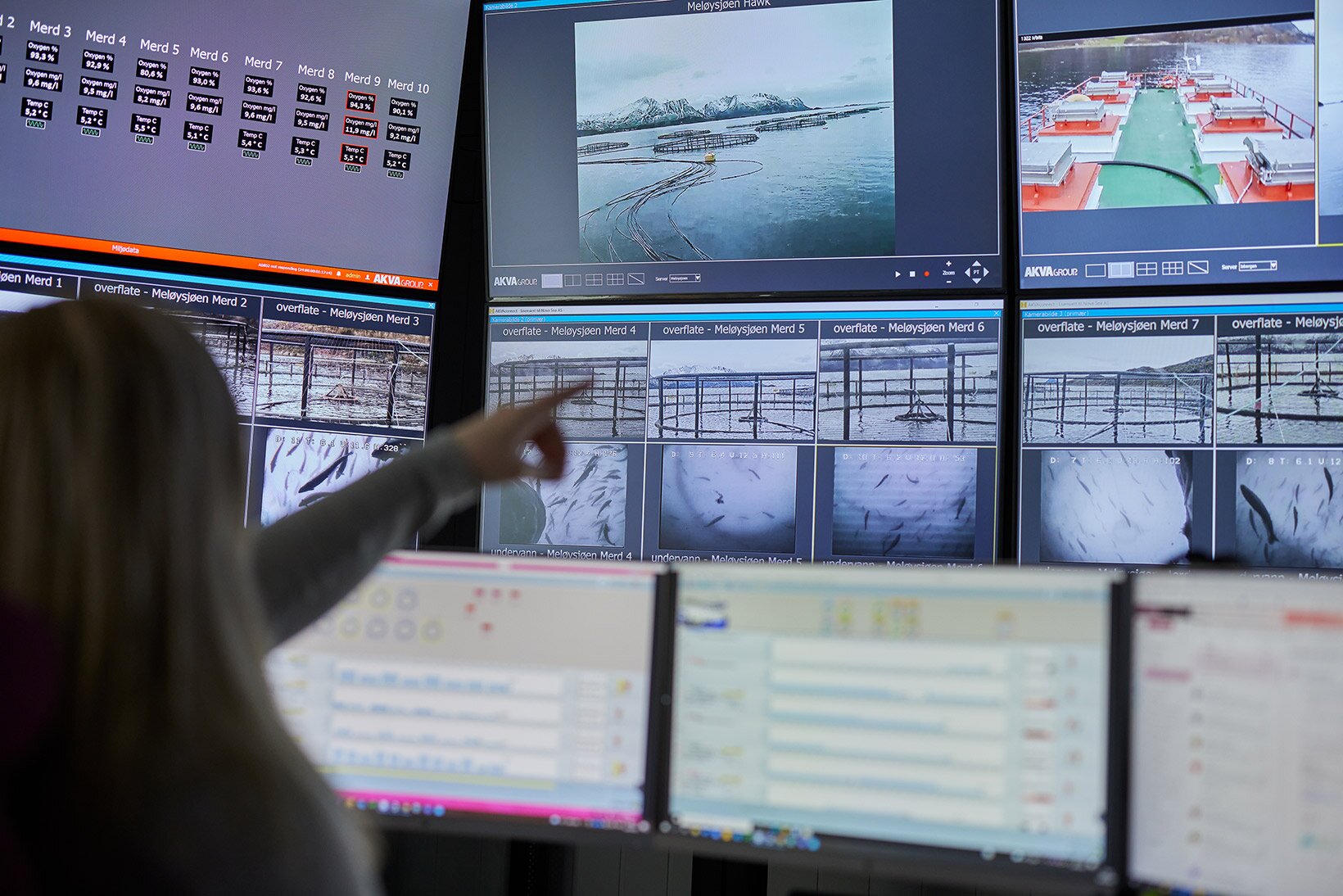 monitorering av laks