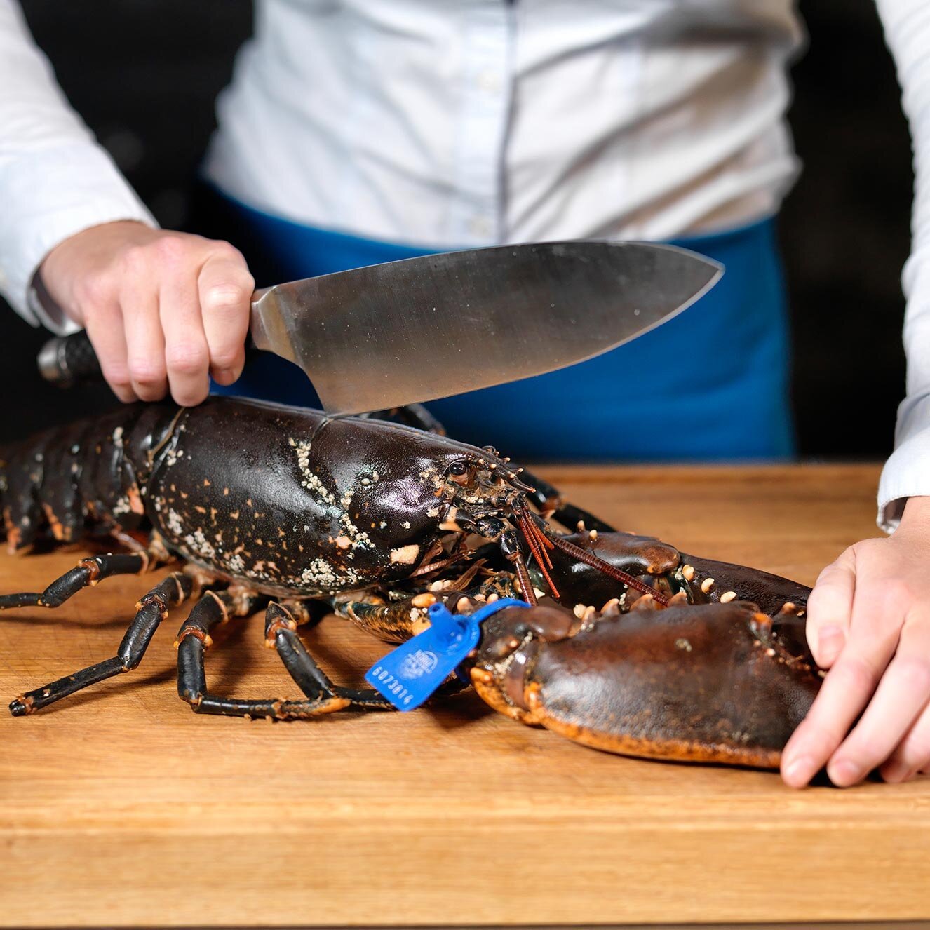 Hummer på skjærefjøl