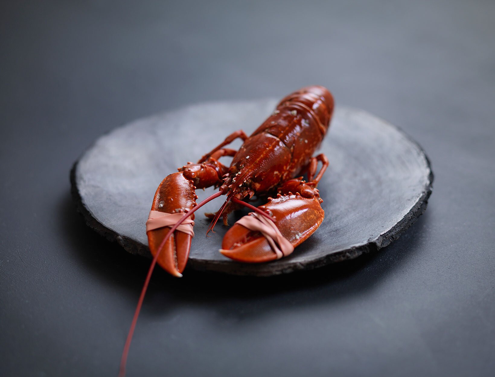 Hummer på tallerken