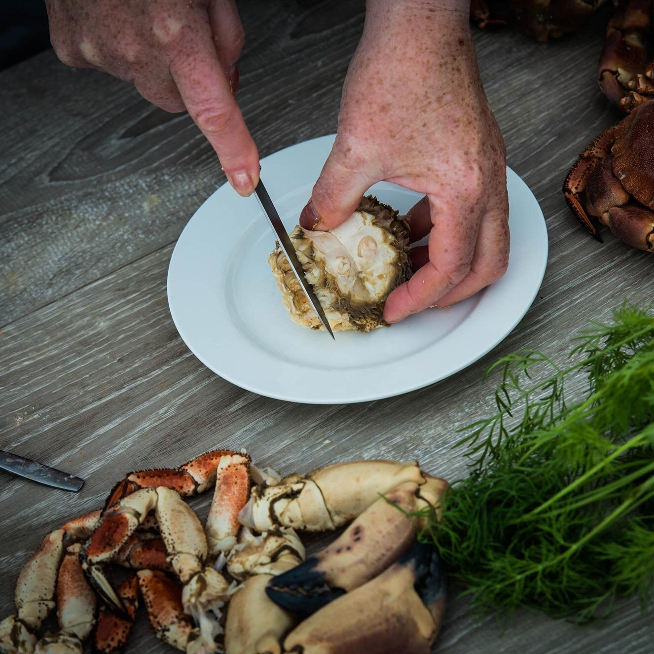 Åpne krabbehuset med kniv